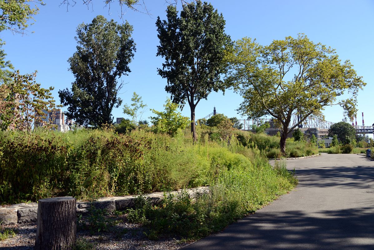 26 New York City Roosevelt Island Southpoint Park